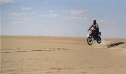 Zum Vergrern einfach klicken ! - Hardy in der Luft